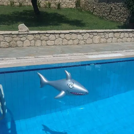 Pool Grigoris Villa