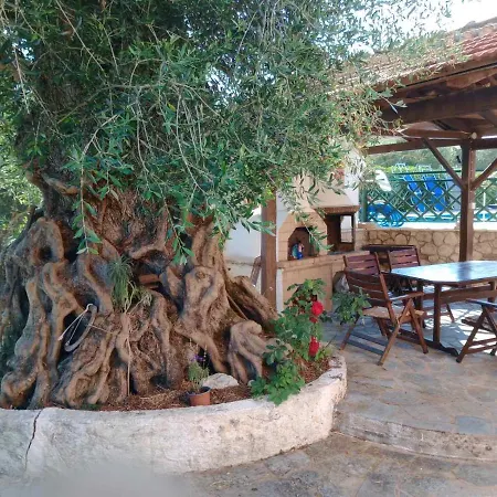 Villa Pool Grigoris *